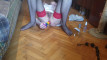 Pregled videozapisa
