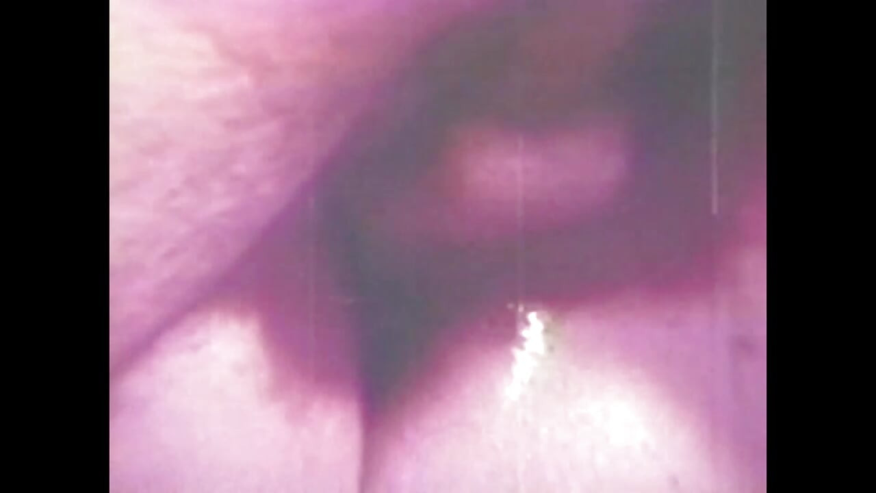 The Pig Eats My Vagina