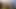 OOPSIE - Siri Dahl přistižena při lízání kundičky FTM Trans Austin Spears Od Emma Magnolia! DRSNÁ TROJKA