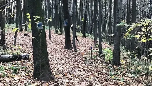 Blonde Im Wald Vögelt, Wie Sie Mit Einem Fremden Vor Der Kamera Steht.