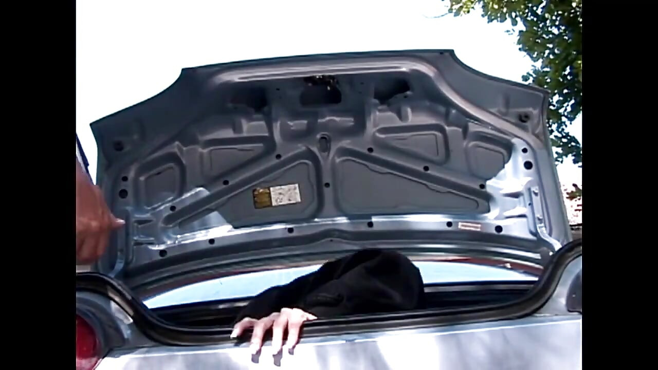 Großen schwanz zu reiten ist mein lieblings-sexing !!