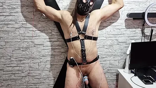 Electro Sounding Urethra Stretch - Kontol Berdenyut di Bondage Agony