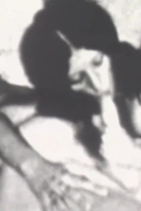 Desfrânarea și entuziasmul nenorocilor