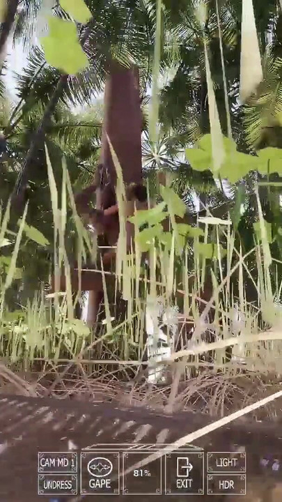 Complete Gameplay - Breasts in the Sun, Part 4 | Clip 3