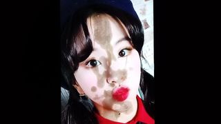 Zweimal Chaeyoung Sperma-Tribut 12