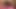 Cherokee Kelly and Pinky get fucked in an orgy
