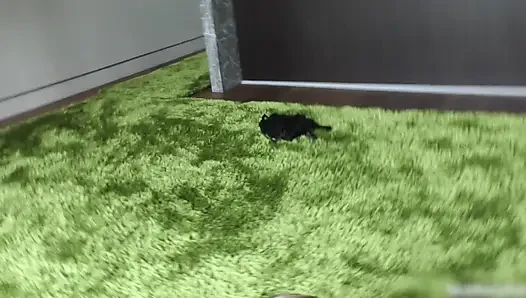 Çok büyük bir...! Beni anal seksle mi sikiyorsun?