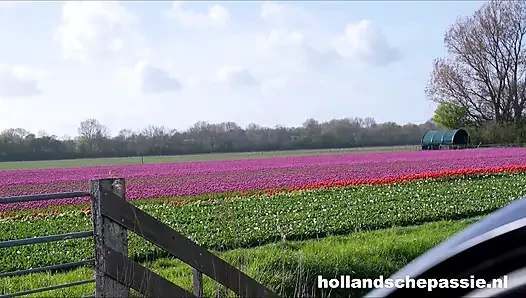Mina si cewek belanda yang super sange berat!