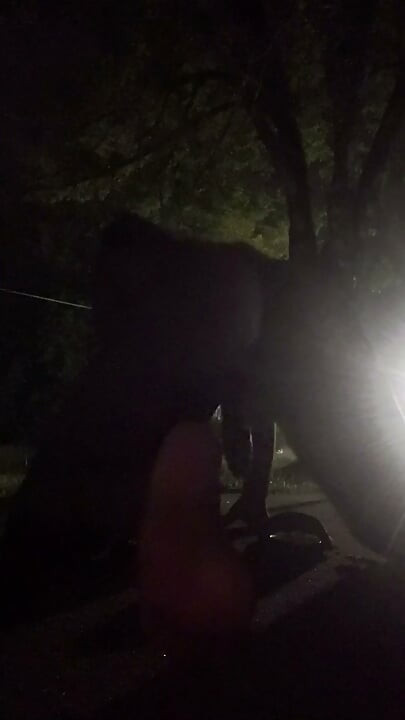 Fooling Around At Night Outside On The Sidewalk Fully Naked Part 4
