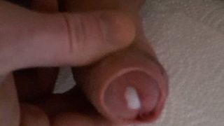 Tiny Cucki penis cums a small load :D