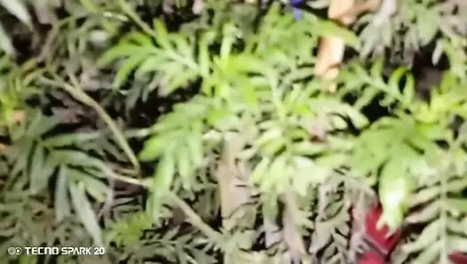 Evening Hookup with the Neighbor Next Door