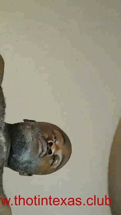 Thot in Texas - African American Fat Booty Black Ebony Thick Butts Milf with Big Booty | Clip 1