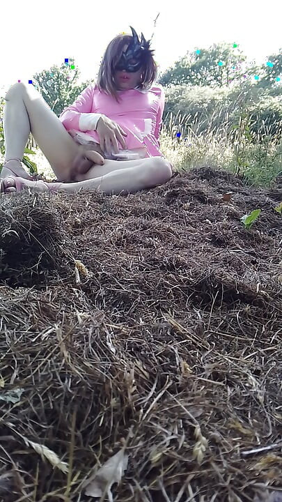 Sissy Lilly Wanking in the Field of Dreams