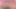 TRANSEXPOV: Banging The Bunny!