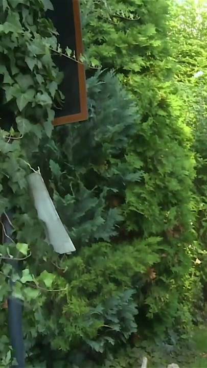 Fängslande ögonblick från "Czech Garden Party: Super grupperad knull vid poolen"
