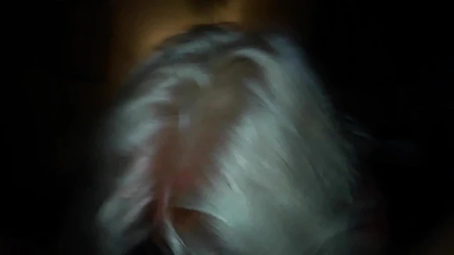 Ex sucking my cock