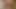 November 2013 - Milking video