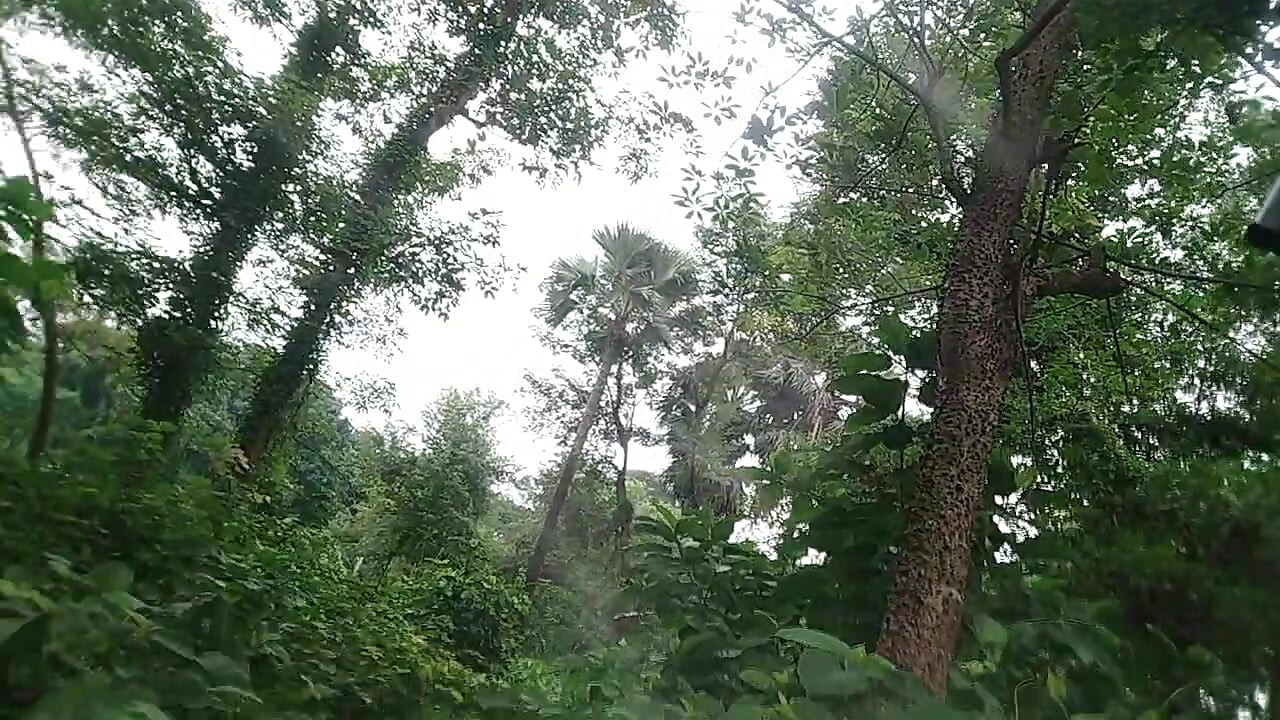 Very handsome desi gay boys forest