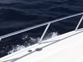 Gagici braziliene fierbinți cu fundul fierbinte pe barcă