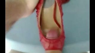 Fucking my sister's sexy red heels