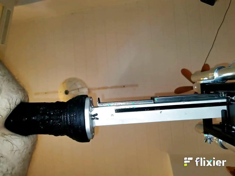 Mr. Hankey's Dragon Dildo Xl Full Insertion Doggy Anal Fucking Machine