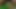 Sexe en foret