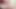 İki seksi tıknaz piliç yerde yarağı paylaşıyor