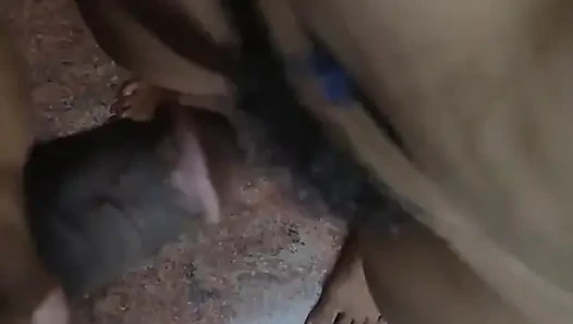 Koca evli kadın büyük yarakla küçük amcığını yalıyor