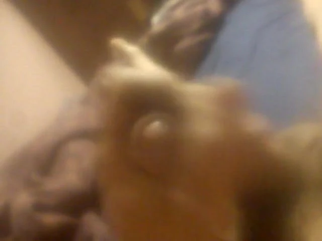little squirt