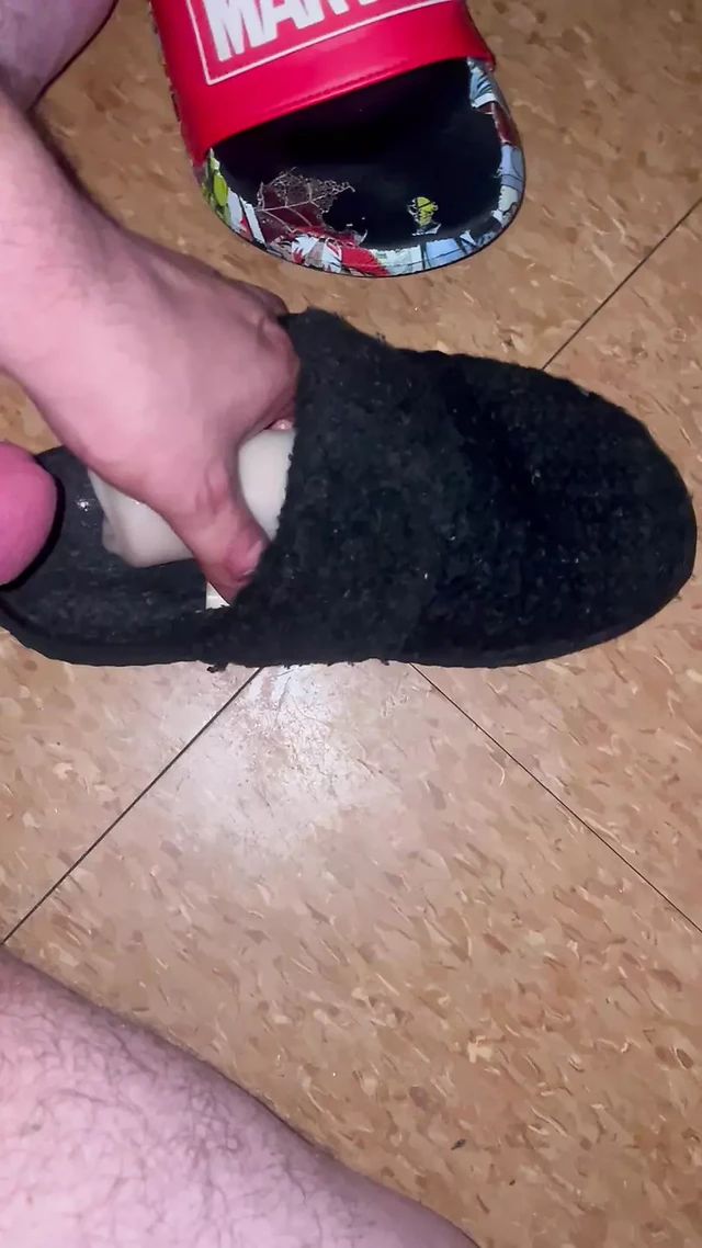 Quick shot on neighbour slipper