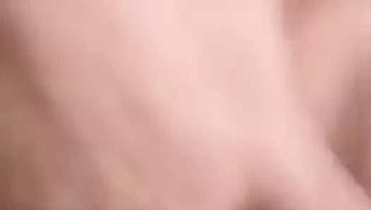 Amcık