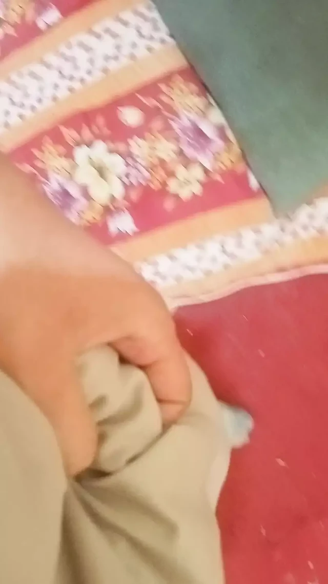 Dick touching in bus