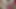 Riley my girlfriend's submissive and lesbian friend sucks my dick, until her face is wet, submissive bitch, fetish doll, cute doll, pov