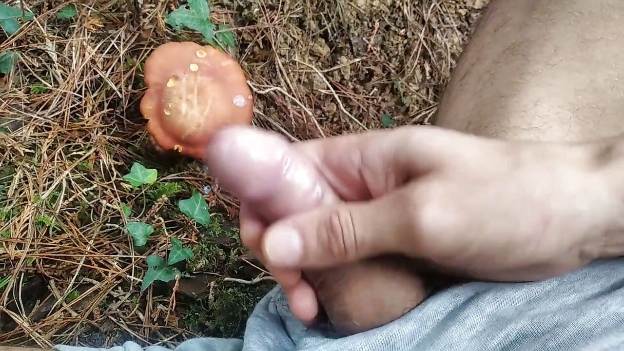 Hiker Takes Out His Dick Looking for Mushroomsand Unloads Semen in One of Them