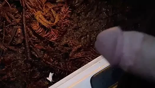 Georgian porn video – Peeing in woods from car