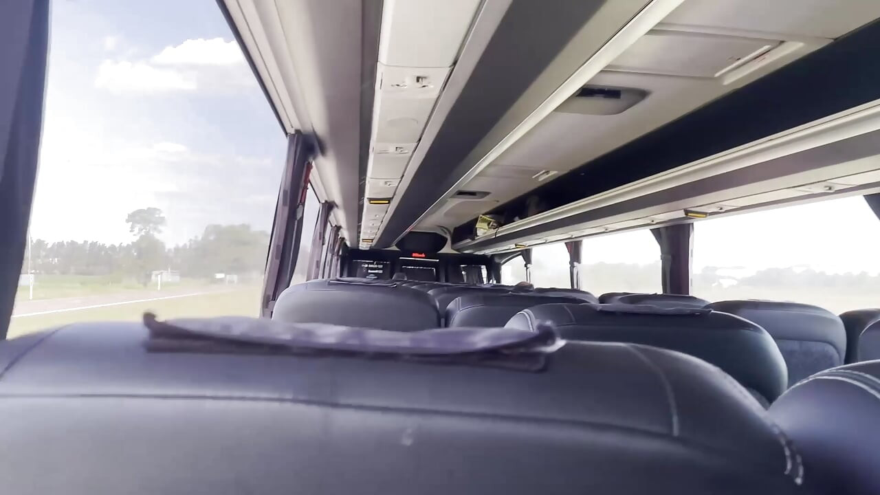 Blowjob in the bus (She got turned on and gave me a blowjob on the bus)