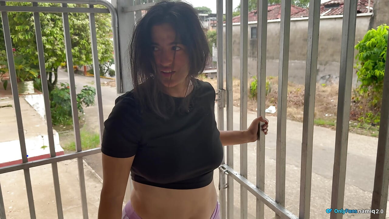 The Streetwalker, Picked up From the Street, Picked up Again at Home