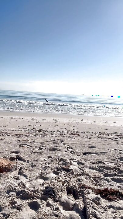 Sehari di pantai sama 67 dewi