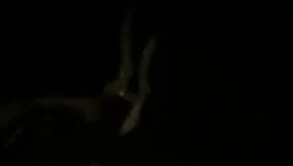 Hızlı boşalırım