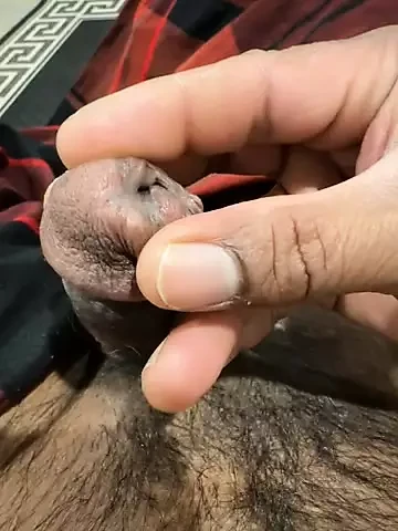 Hand dic play