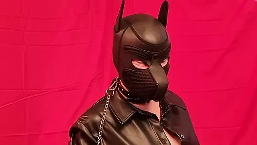Pet Play Puppy Training with BellaSubina