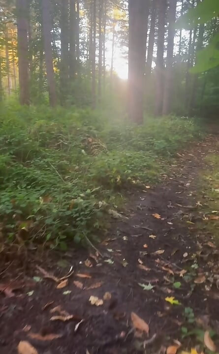 Clothes left in car.  an hour naked walk from car and back in woods barefoot
