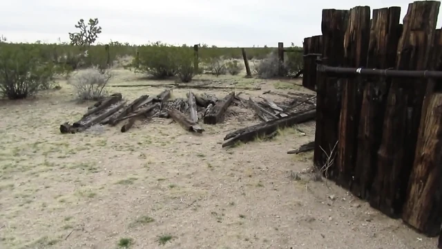 Desert Cow Pen Cum 3