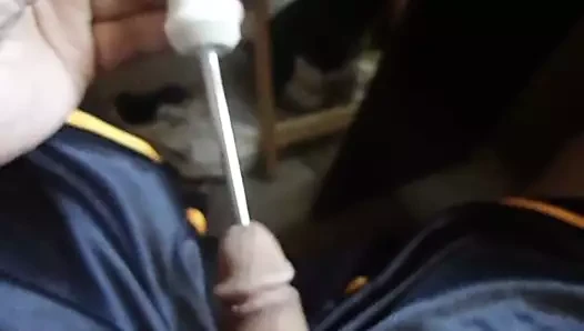 benim horoz sondaj