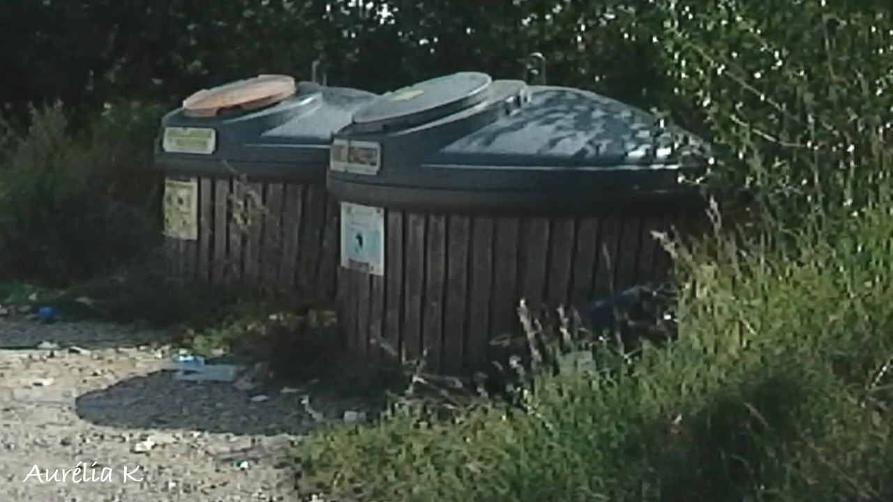 I take out the trash in my school clothes and with a tail plug in my ass on the side of the road while the cars pass by