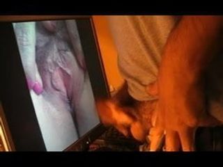 Cumshot untuk vagina maria