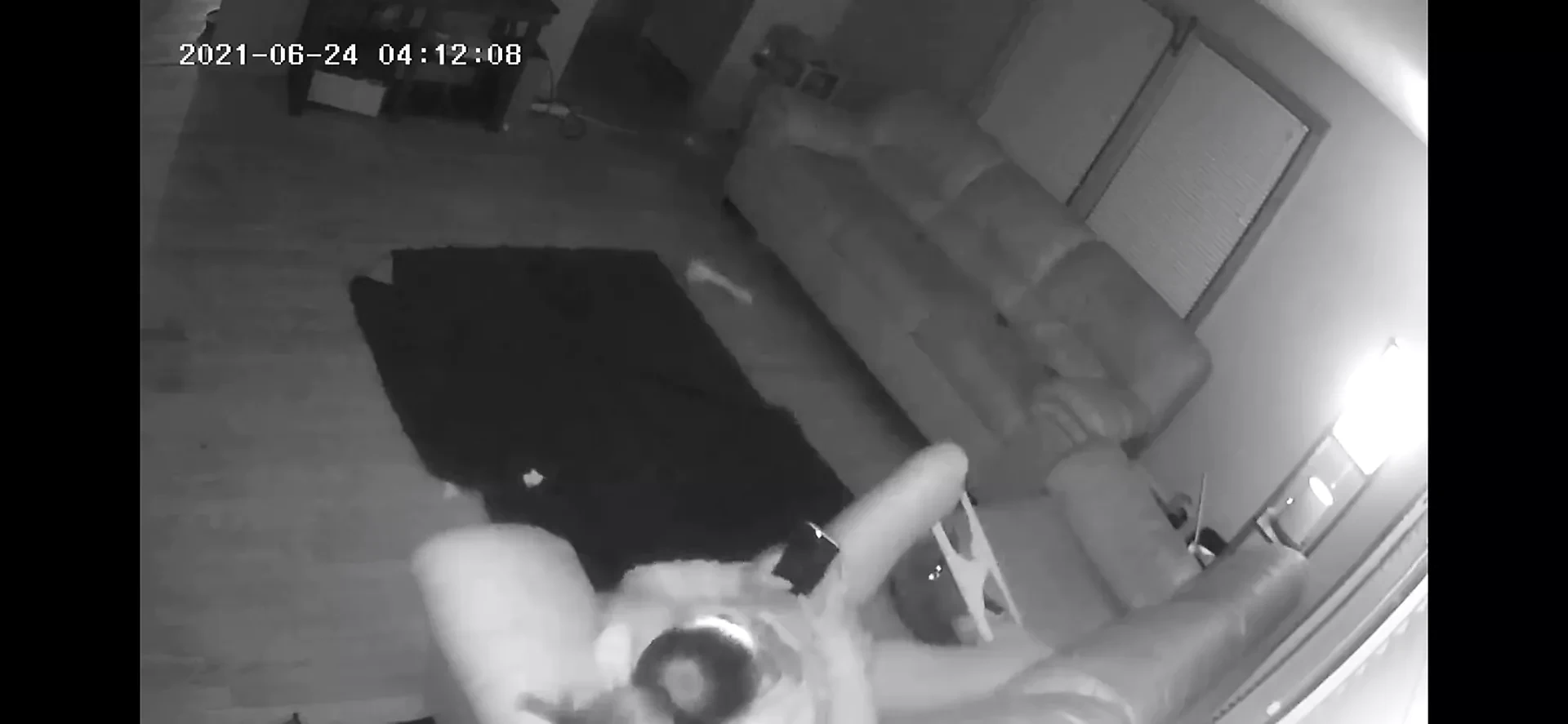 Milf Masturbated on My Couch Early in the Morning