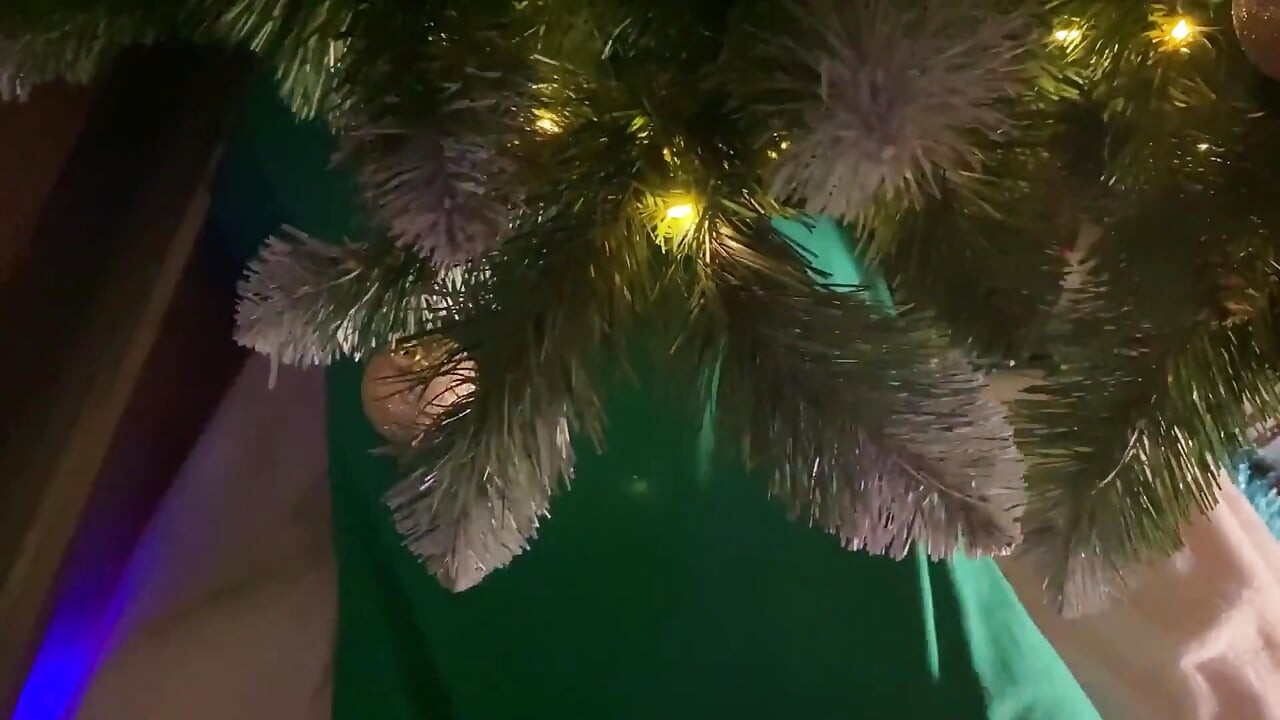 Crăciun cu sora mea vitregă perversă