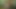 JNRC - The Algerian army boy