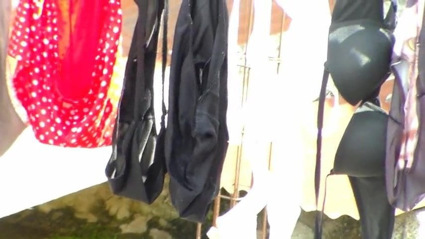 tanguitas de mi vecinita culonsita